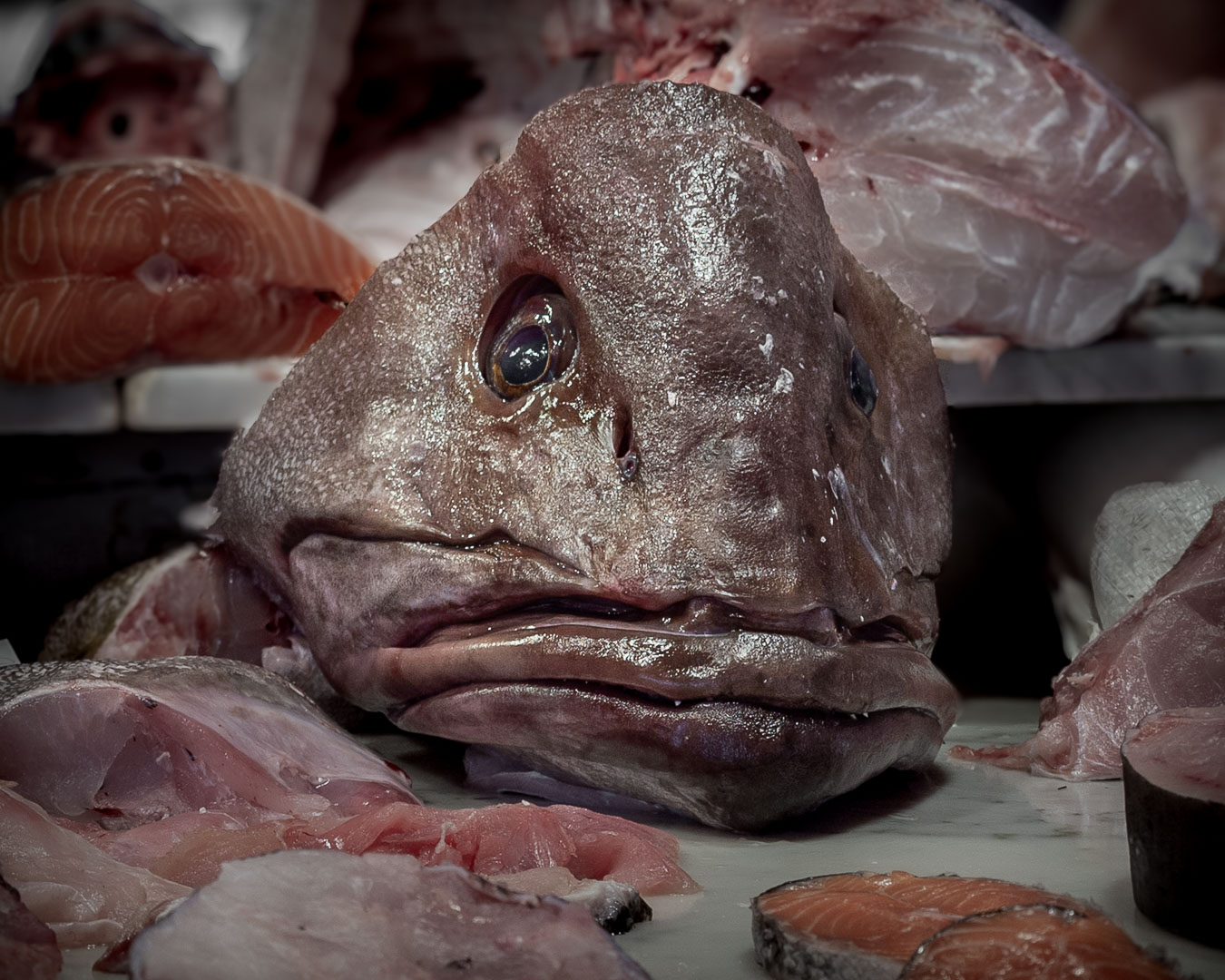 Close-up of a grouper fish head surrounded by fillets and cuts of fish meat at the Pescheria fish market in Catania, Sicily.