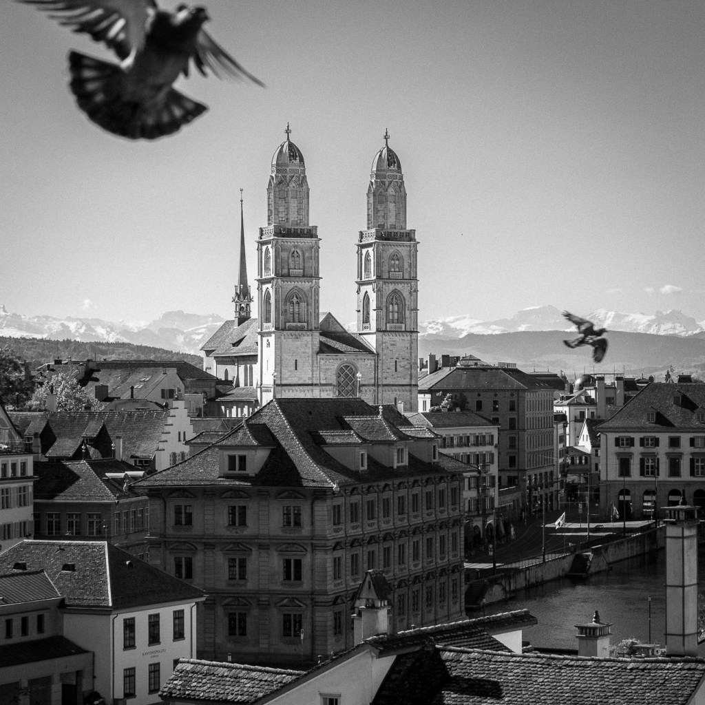 Grossmünster cathedral twin towers with flying pigeons, Zurich old town skyline black and white