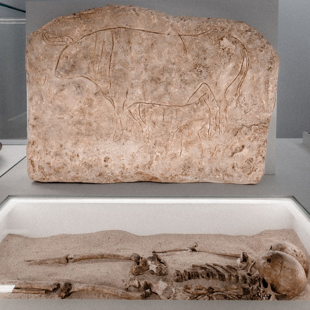 Stone slab with a replica of the Paleolithic aurochs engraving found near the Romito Cave burial site.