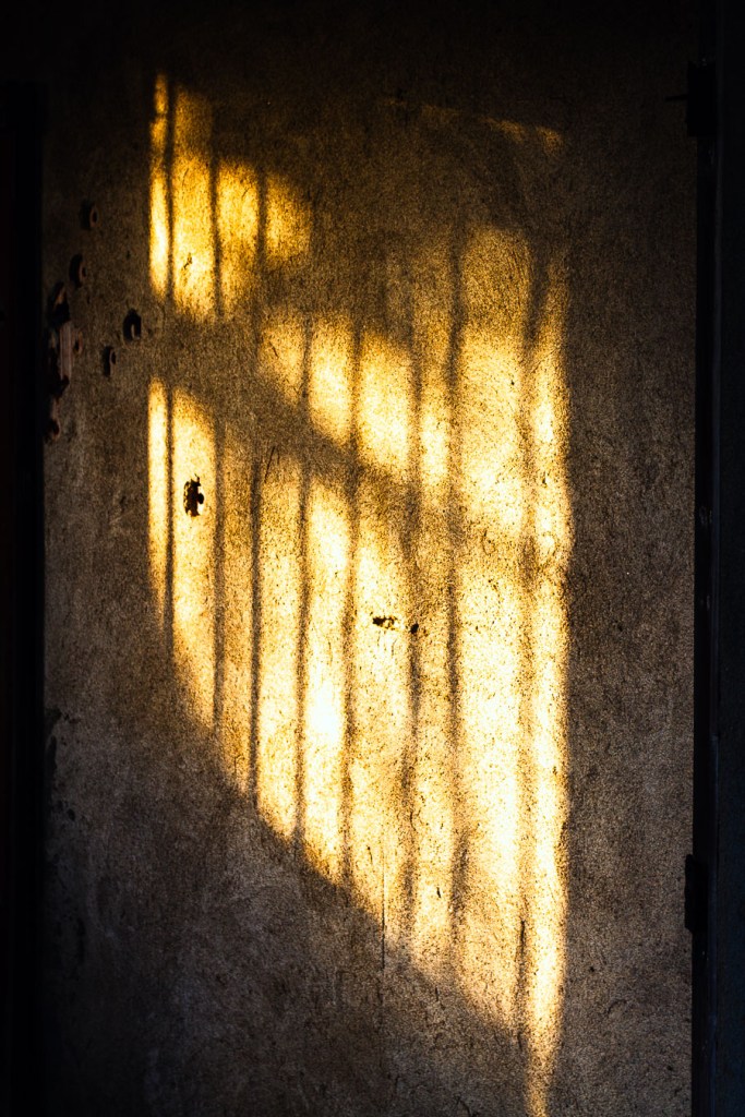 Warm light and shadow cast by an unseen window grate on a plastered wall, San Pasquale, Calabria