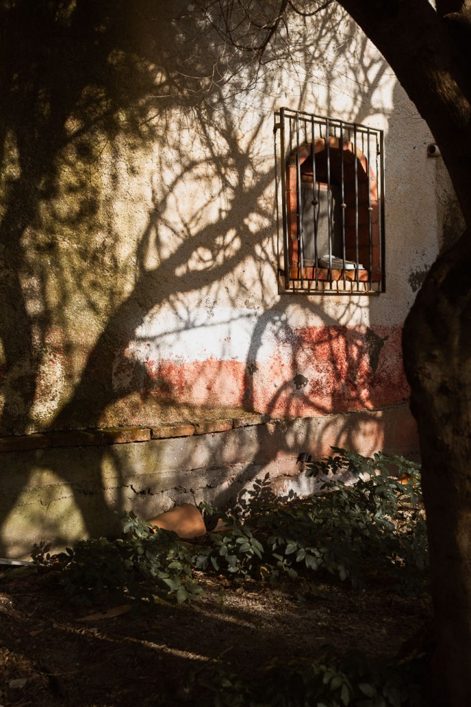 Bare tree branches casting shadows on a white and terracotta wall framed by an arch, Pentedattilo, Calabria