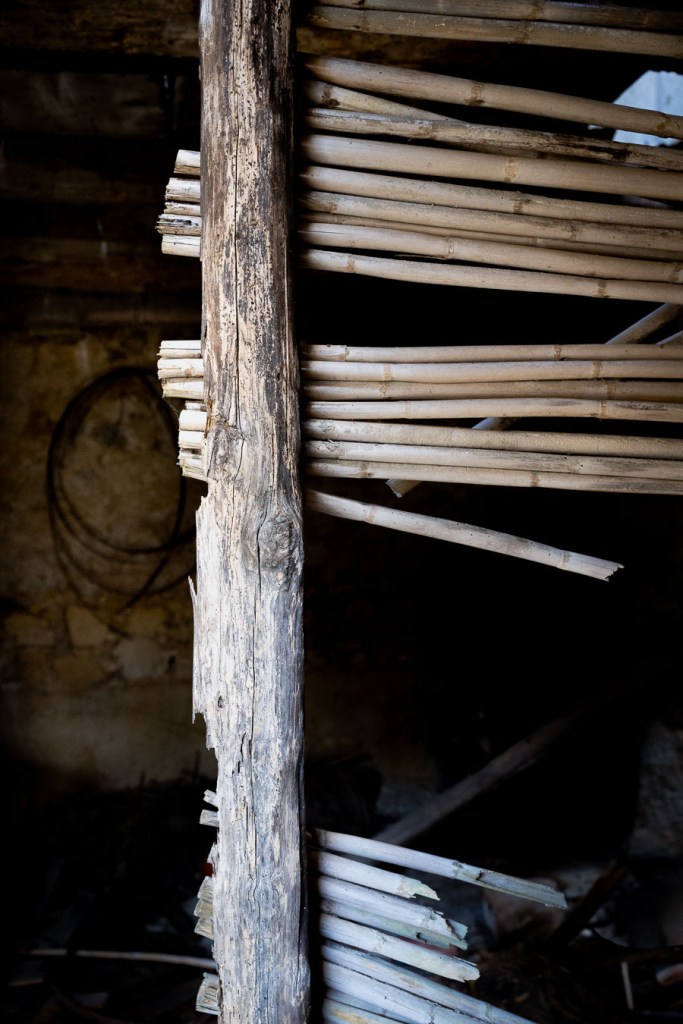 Wooden post beside rows of horizontal cane stalks, some of them broken, in a dark room with a coil of cable hanging on the stone wall. Ferruzzano Superiore, Calabria.